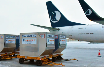 关税预付与到付如何选择？解析成本与风险的关键因素