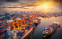 海运货物包装要求及品类差异｜实用指南